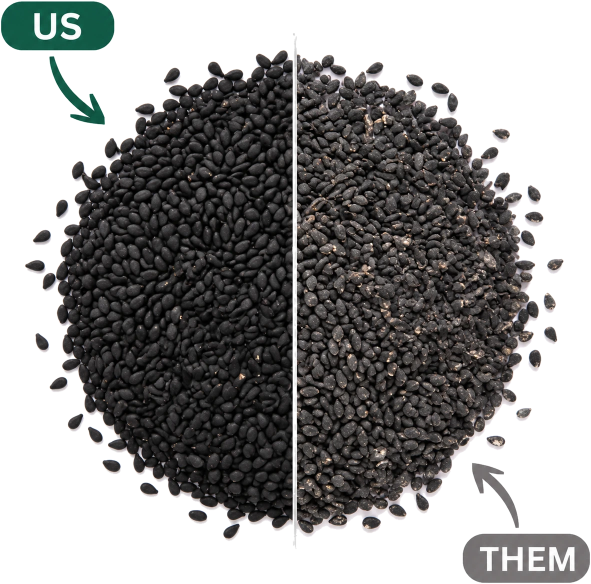 Fresh, potent Ethiopian black seed (US) compared with ordinary, oxidized black seed (THEM)